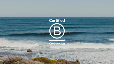 Creatures of Leisure, B Corp Certified!